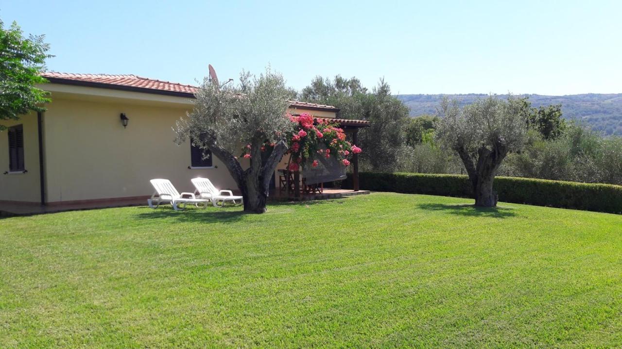 Villa Mimosa Tropea Ricadi Zewnętrze zdjęcie