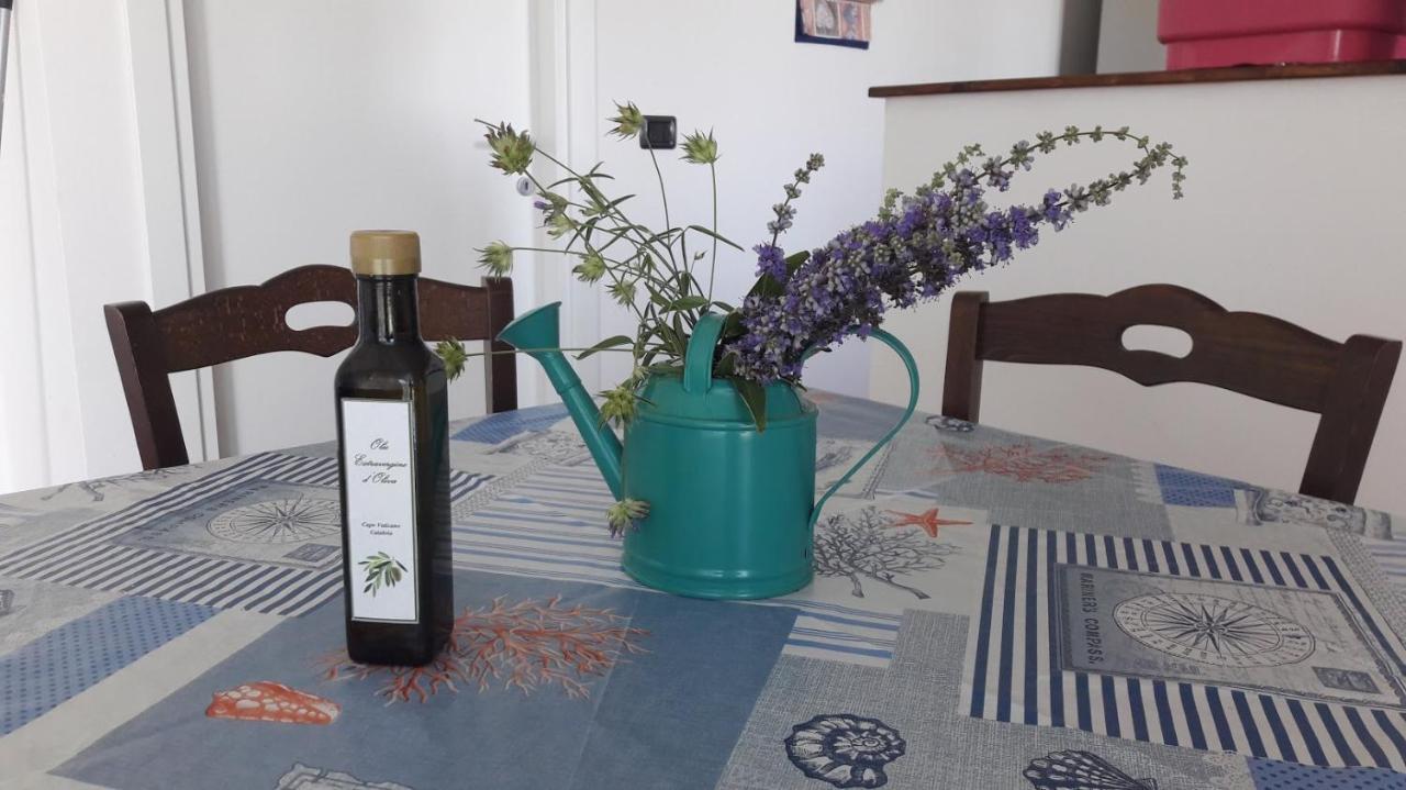 Villa Mimosa Tropea Ricadi Zewnętrze zdjęcie