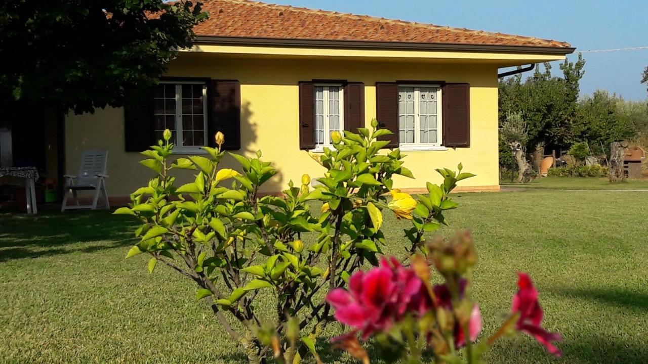Villa Mimosa Tropea Ricadi Zewnętrze zdjęcie