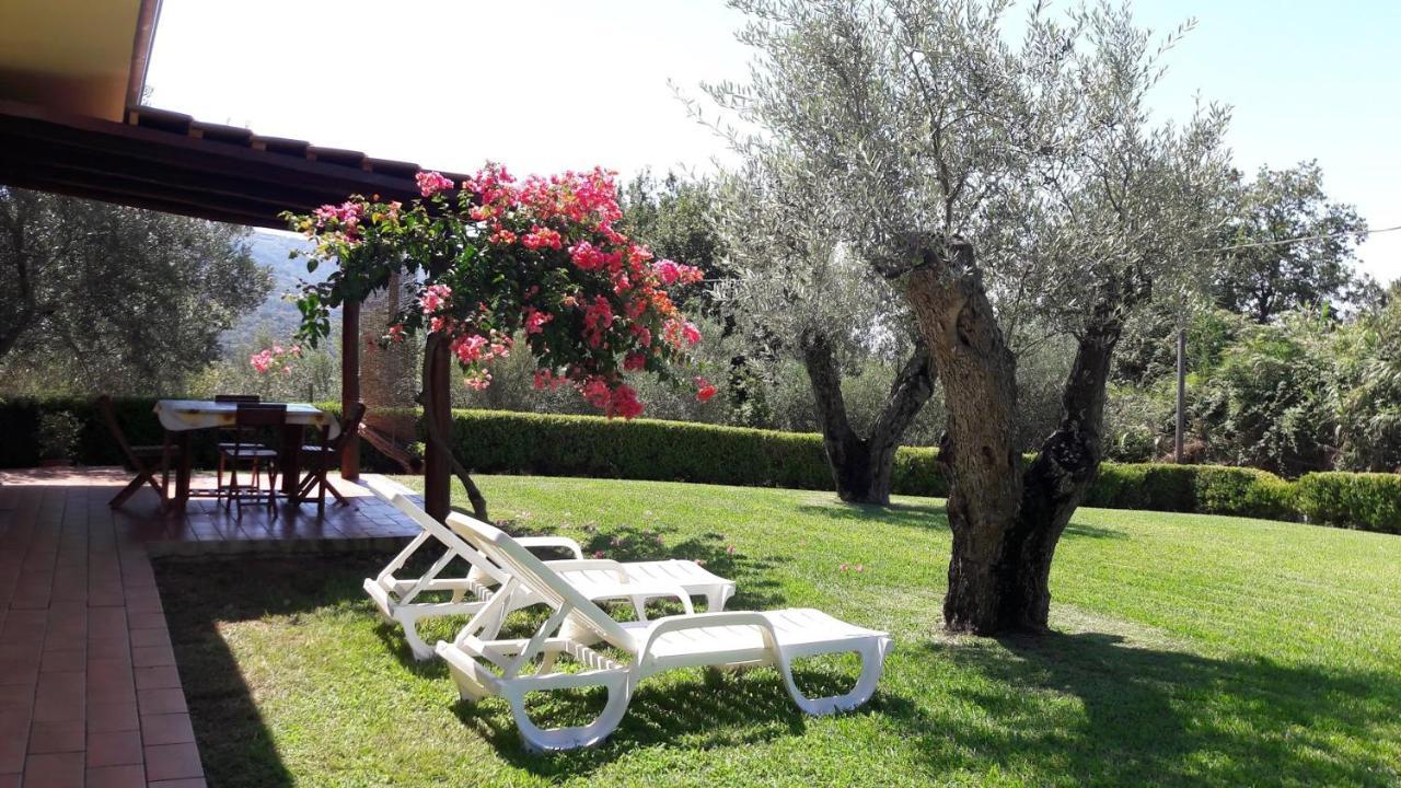 Villa Mimosa Tropea Ricadi Zewnętrze zdjęcie