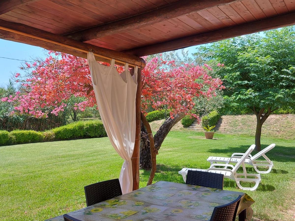 Villa Mimosa Tropea Ricadi Zewnętrze zdjęcie