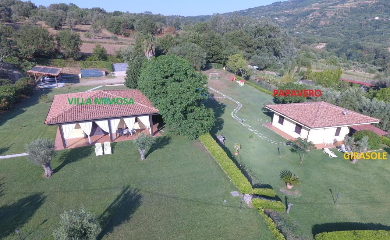 Villa Mimosa Tropea Ricadi Zewnętrze zdjęcie