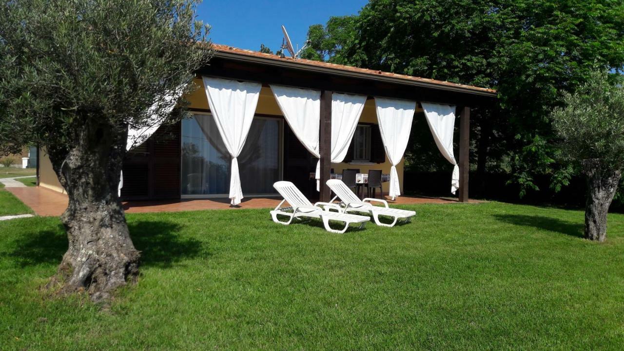 Villa Mimosa Tropea Ricadi Zewnętrze zdjęcie